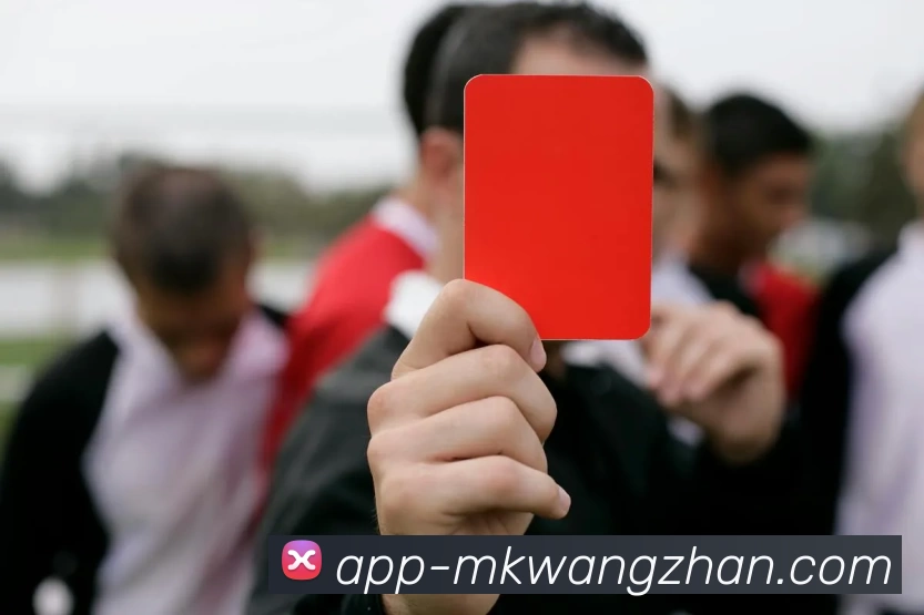 App 展示图